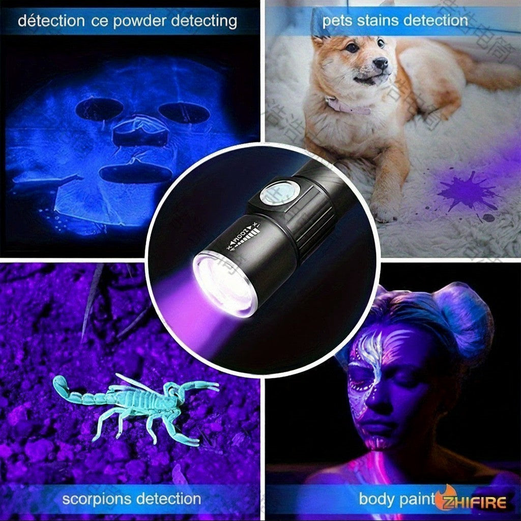Lampe de poche UV Lumeoo noire pour détecter faux billets, taches d'animaux, scorpions et maquillage fluorescent.