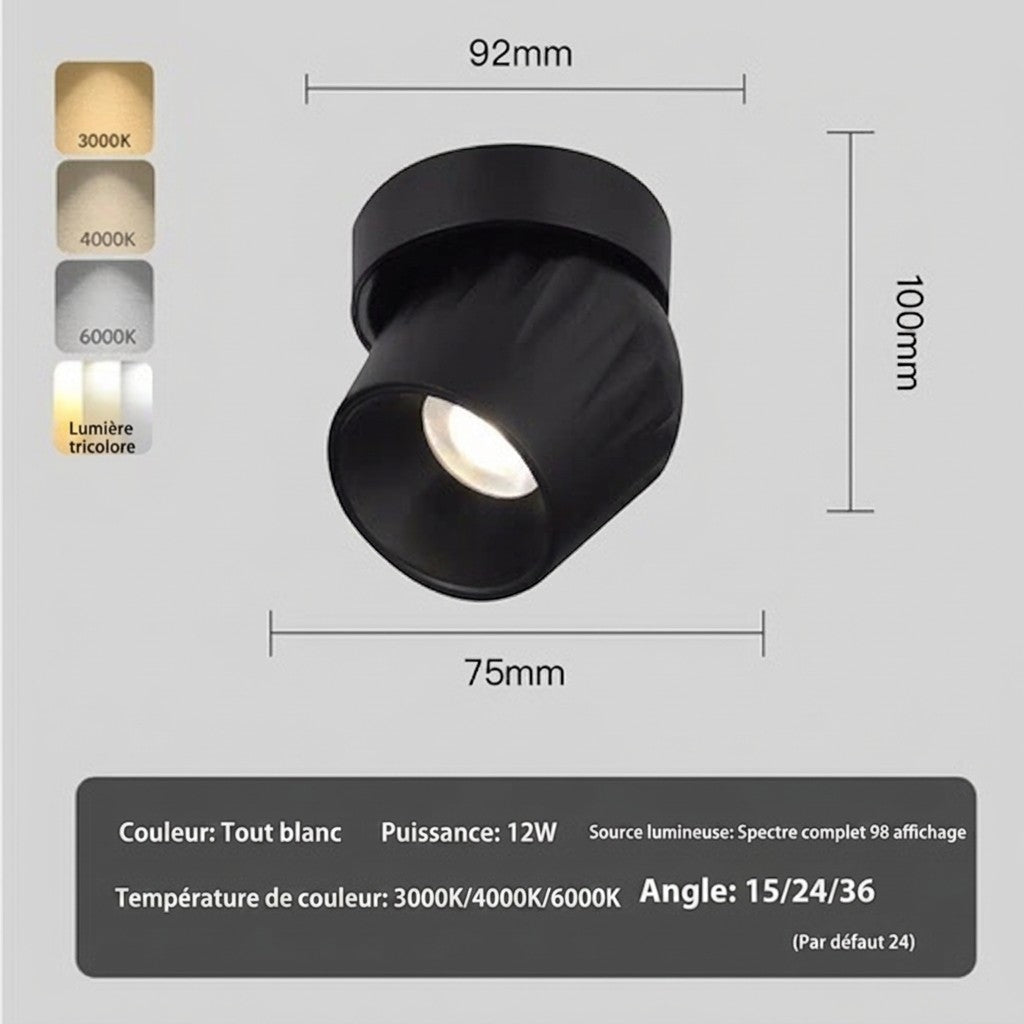 Plafonnier spot LED orientable noir Lumeoo avec dimensions techniques et options de température de couleur