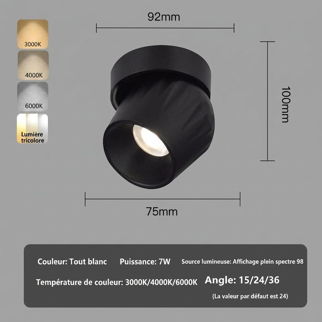 Plafonnier spot LED orientable noir Lumeoo avec dimensions techniques et options de température de couleur