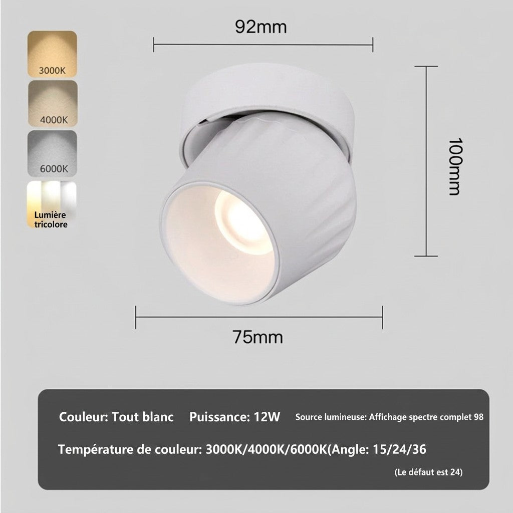 Plafonnier spot LED orientable blanc Lumeoo avec dimensions techniques et options de température de couleur