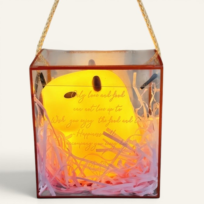 Veilleuse Lumeoo en forme de cochon d'Inde en silicone jaune, présentée dans une boîte cadeau transparente décorative
